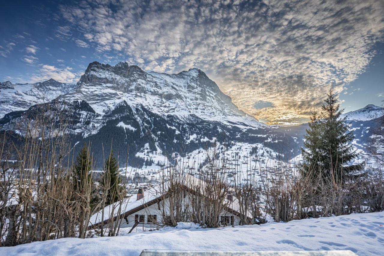 Chalet Weid - Aare Jungfrau Ag Grindelwald Esterno foto