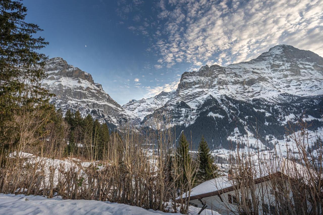 Chalet Weid - Aare Jungfrau Ag Grindelwald Esterno foto